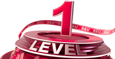 Level 1