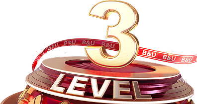 Level 3