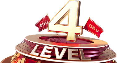 Level 4